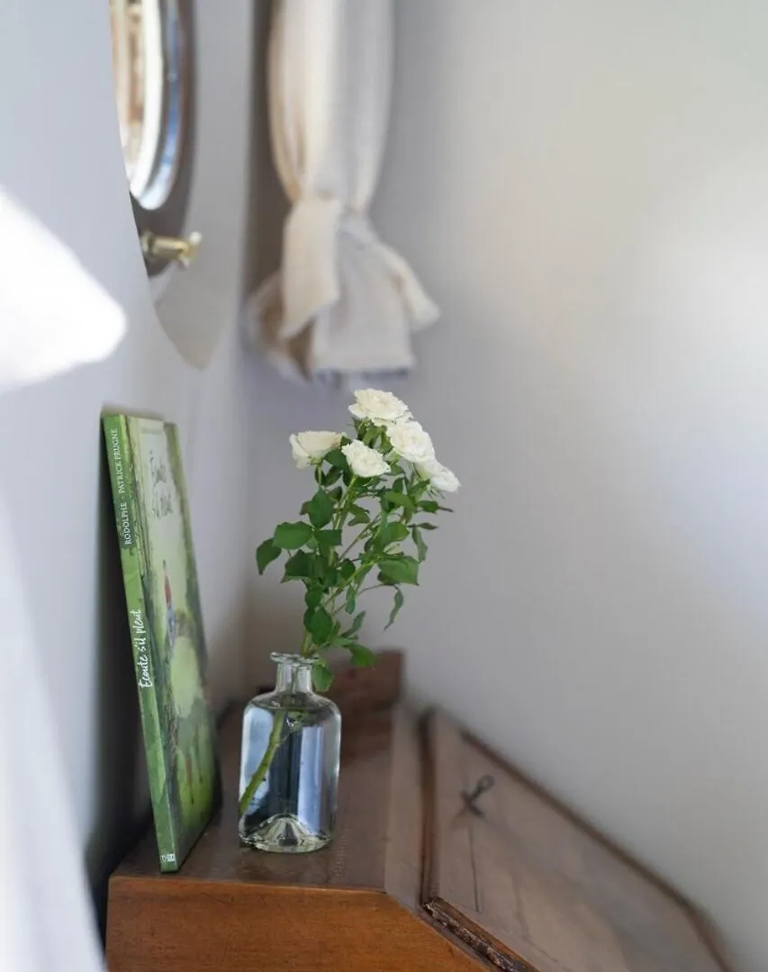 Bed and Breakfast La Rose Du Petit Bois Saint-Didier-au-Mont-d'Or 0*,  Frankreich