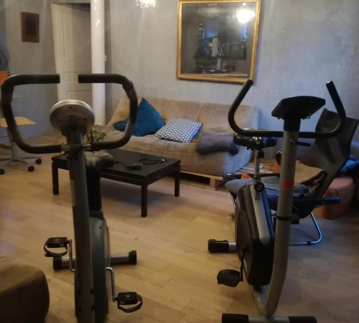 Bed and Breakfast La Rose Du Petit Bois Saint-Didier-au-Mont-d'Or 0*,  Frankreich